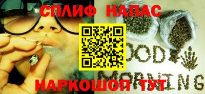 гашик Дубна