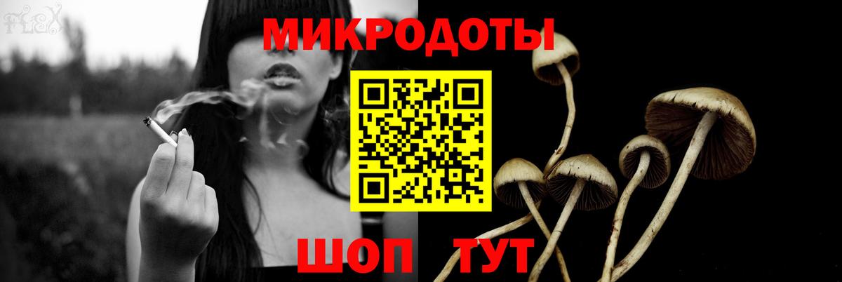 где купить наркотик  Галлюциногенные грибы Psilocybine cubensis  Вход с VPN  Темрюк  Псилоцибиновые грибы Psilocybe 